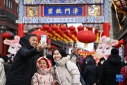镜头里的中国年——年味浓 消费旺 镜头里的中国年——年味浓 消费旺