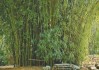 境内外“同唱一首歌”（边城见闻）