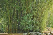 境内外“同唱一首歌”（边城见闻）
